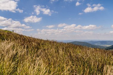 Mieczysaw Orlowicz Geçidi 'nden Polonya' daki Bieszczady Dağları 'ndaki Smerek Tepesine giden yol.