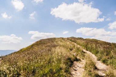 Mieczysaw Orlowicz Geçidi 'nden Polonya' daki Bieszczady Dağları 'ndaki Smerek Tepesine giden yol.