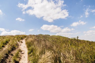 Mieczysaw Orlowicz Geçidi 'nden Polonya' daki Bieszczady Dağları 'ndaki Smerek Tepesine giden yol.