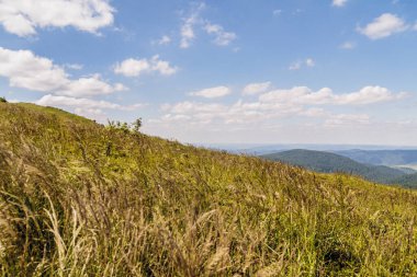 Mieczysaw Orlowicz Geçidi 'nden Polonya' daki Bieszczady Dağları 'ndaki Smerek Tepesine giden yol.