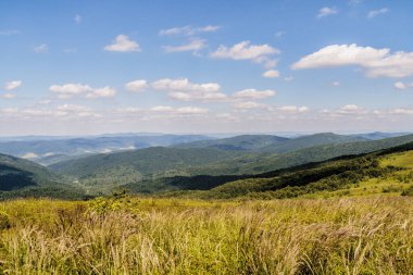 Mieczysaw Orlowicz Geçidi 'nden Polonya' daki Bieszczady Dağları 'ndaki Smerek Tepesine giden yol.