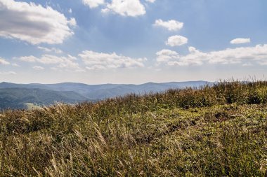 Mieczysaw Orlowicz Geçidi 'nden Polonya' daki Bieszczady Dağları 'ndaki Smerek Tepesine giden yol.