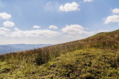 Mieczysaw Orlowicz Geçidi 'nden Polonya' daki Bieszczady Dağları 'ndaki Smerek Tepesine giden yol.