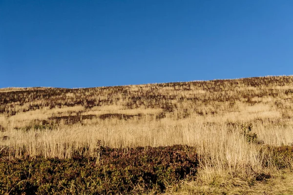 Polonya 'daki Bieszczady Dağlarında Carynska Polonyna