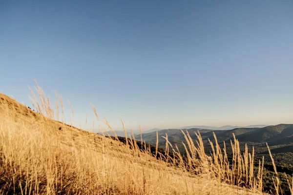 Polonya 'daki Bieszczady Dağlarında Carynska Polonyna
