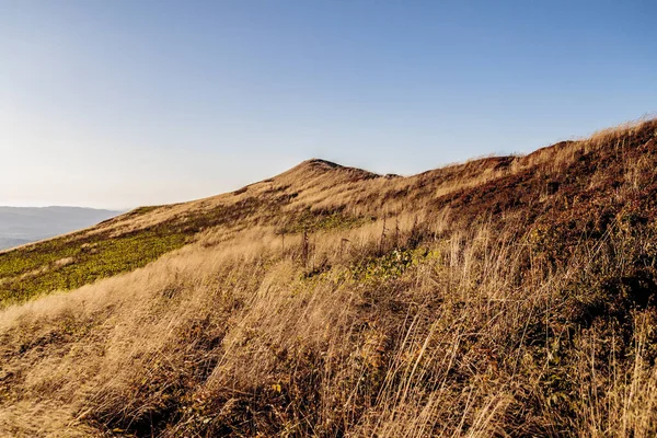 Polonya 'daki Bieszczady Dağlarında Carynska Polonyna