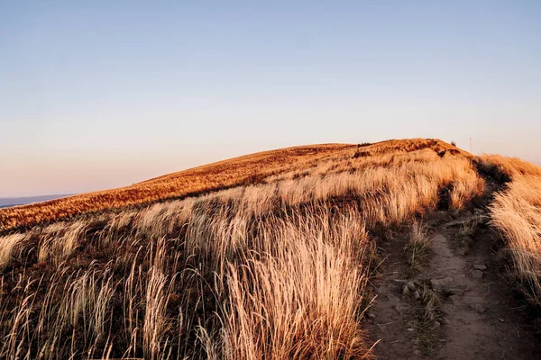 Polonya 'daki Bieszczady Dağlarında Carynska Polonyna