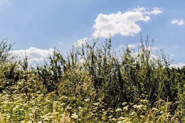 Kryve Rio San Uma Antiga Aldeia Nas Montanhas Bieszczady Seus — Fotografia de Stock