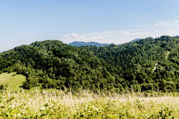 Kryve Fluss San Ein Ehemaliges Dorf Bieszczady Gebirge Seine Einwohner — Stockfoto