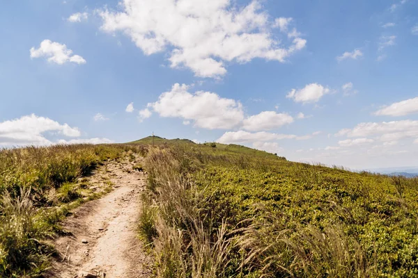 Mieczysaw Orlowicz Geçidi 'nden Polonya' daki Bieszczady Dağları 'ndaki Smerek Tepesine giden yol.