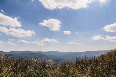 Mieczysaw Orlowicz Geçidi 'nden Polonya' daki Bieszczady Dağları 'ndaki Smerek Tepesine giden yol.