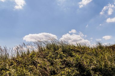 Mieczysaw Orlowicz Geçidi 'nden Polonya' daki Bieszczady Dağları 'ndaki Smerek Tepesine giden yol.