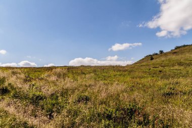 Mieczysaw Orlowicz Geçidi 'nden Polonya' daki Bieszczady Dağları 'ndaki Smerek Tepesine giden yol.