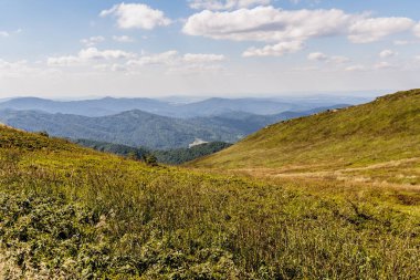 Mieczysaw Orlowicz Geçidi 'nden Polonya' daki Bieszczady Dağları 'ndaki Smerek Tepesine giden yol.