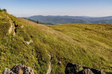 Mieczysaw Orowicz Geçidi 'nden Polonya' daki Bieszczady Dağları 'ndaki Smerek Tepesine giden yol.