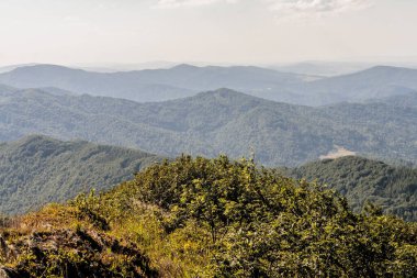 Mieczysaw Orowicz Geçidi 'nden Polonya' daki Bieszczady Dağları 'ndaki Smerek Tepesine giden yol.