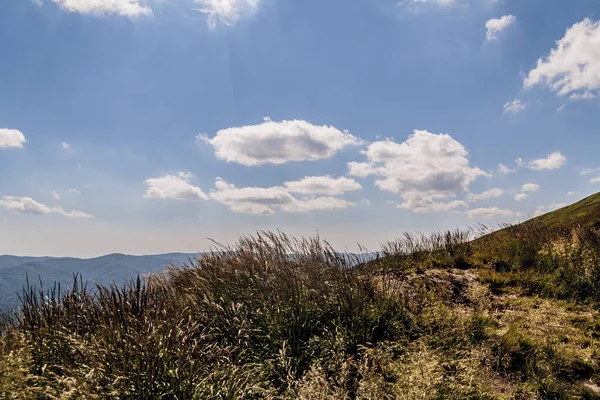 Mieczysaw Orlowicz Geçidi 'nden Polonya' daki Bieszczady Dağları 'ndaki Smerek Tepesine giden yol.