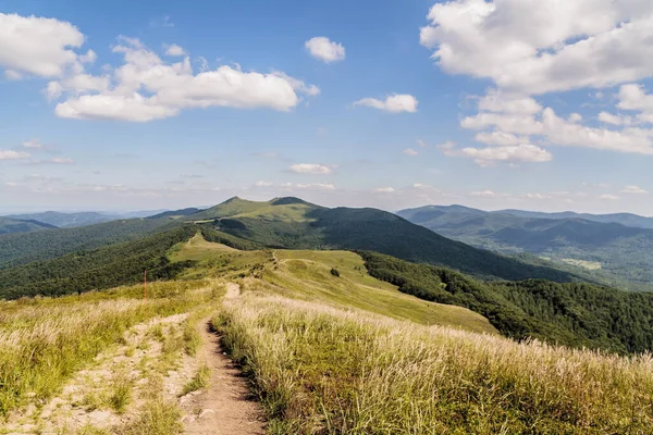 Mieczysaw Orlowicz Geçidi 'nden Polonya' daki Bieszczady Dağları 'ndaki Smerek Tepesine giden yol.