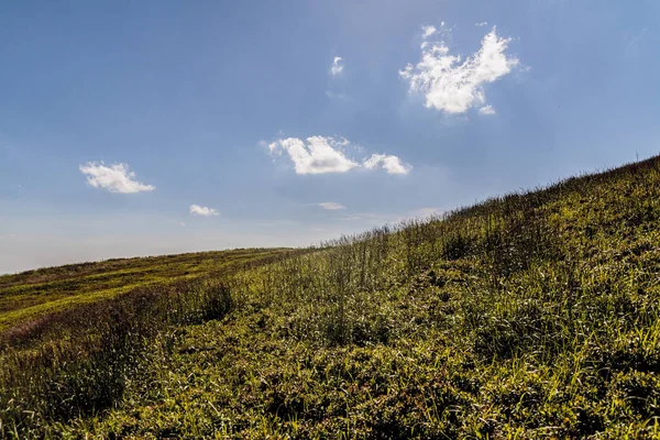 Mieczysaw Orowicz Geçidi 'nden Polonya' daki Bieszczady Dağları 'ndaki Smerek Tepesine giden yol.