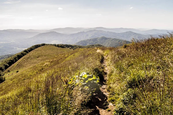 Mieczysaw Orowicz Geçidi 'nden Polonya' daki Bieszczady Dağları 'ndaki Smerek Tepesine giden yol.