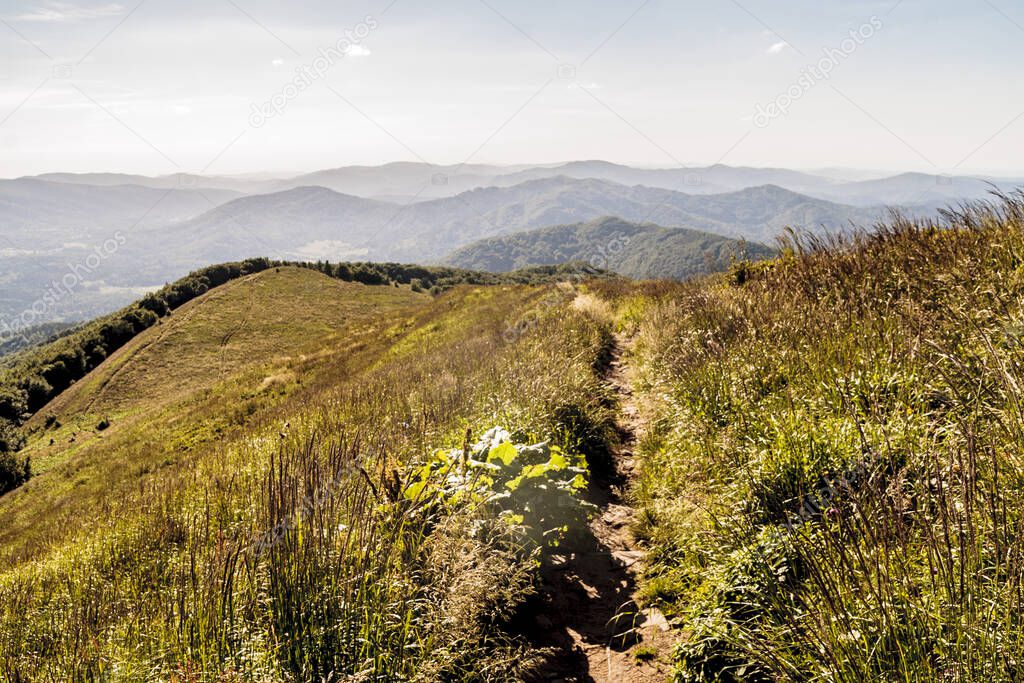 The road from Mieczysaw Orowicz Pass to Smerek Peak in the Bieszczady Mountains in Poland