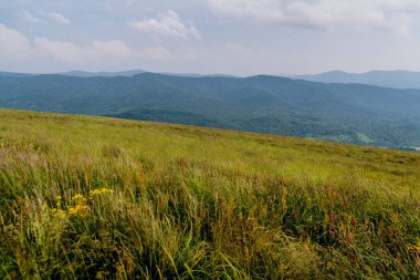 Polonya 'daki Bieszczady Dağlarında Wetlinska Polonyna