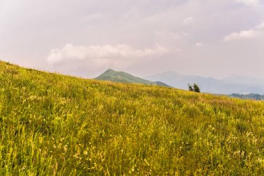 Polonya 'daki Bieszczady Dağlarında Wetlinska Polonyna