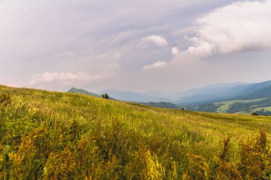 Polonya 'daki Bieszczady Dağlarında Wetlinska Polonyna