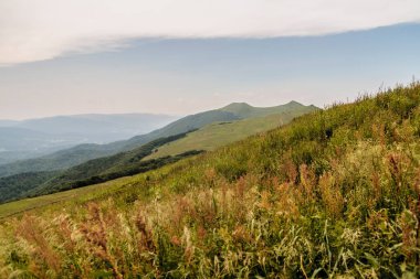 Polonya 'daki Bieszczady Dağlarında Wetlinska Polonyna