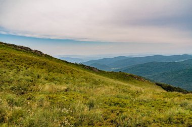 Polonya 'daki Bieszczady Dağlarında Wetlinska Polonyna