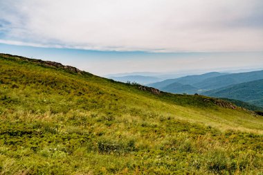 Polonya 'daki Bieszczady Dağlarında Wetlinska Polonyna