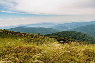Polonya 'daki Bieszczady Dağlarında Wetlinska Polonyna