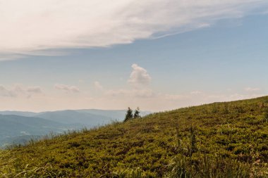 Polonya 'daki Bieszczady Dağlarında Wetlinska Polonyna