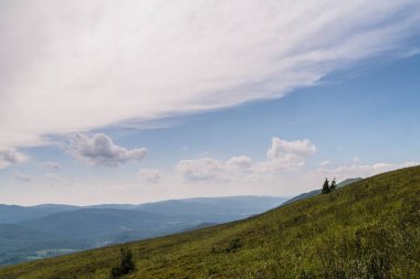 Polonya 'daki Bieszczady Dağlarında Wetlinska Polonyna