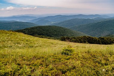 Polonya 'daki Bieszczady Dağlarında Wetlinska Polonyna