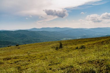 Polonya 'daki Bieszczady Dağlarında Wetlinska Polonyna