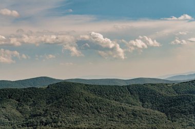 Polonya 'daki Bieszczady Dağlarında Wetlinska Polonyna