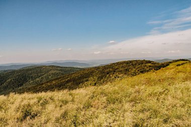 Polonya 'daki Bieszczady Dağlarında Wetlinska Polonyna