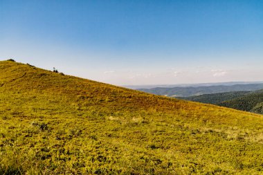 Polonya 'daki Bieszczady Dağlarında Wetlinska Polonyna