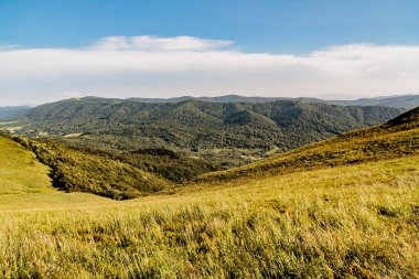 Polonya 'daki Bieszczady Dağlarında Wetlinska Polonyna