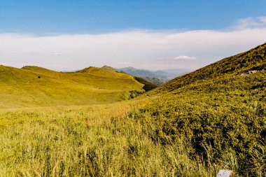 Polonya 'daki Bieszczady Dağlarında Wetlinska Polonyna