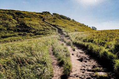 Polonya 'daki Bieszczady Dağlarında Wetlinska Polonyna