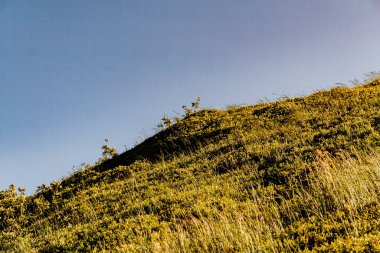 Polonya 'daki Bieszczady Dağlarında Wetlinska Polonyna