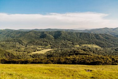 Polonya 'daki Bieszczady Dağlarında Wetlinska Polonyna
