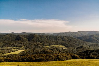 Polonya 'daki Bieszczady Dağlarında Wetlinska Polonyna