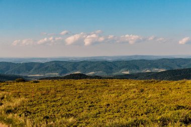 Polonya 'daki Bieszczady Dağlarında Wetlinska Polonyna