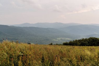 Polonya 'daki Bieszczady Dağlarında Wetlinska Polonyna