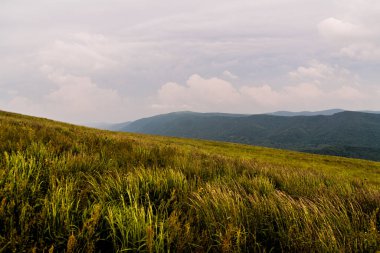 Polonya 'daki Bieszczady Dağlarında Wetlinska Polonyna