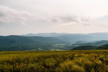 Polonya 'daki Bieszczady Dağlarında Wetlinska Polonyna