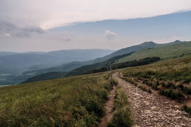 Polonya 'daki Bieszczady Dağlarında Wetlinska Polonyna